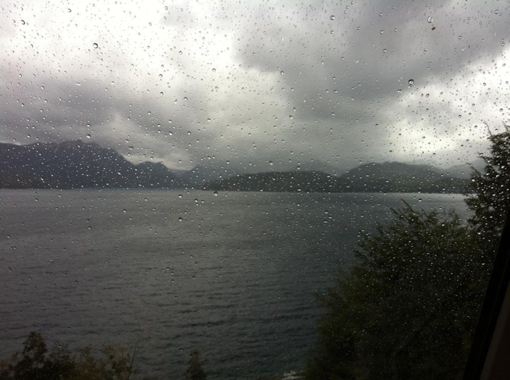 Hipitty Hoppity Squishy