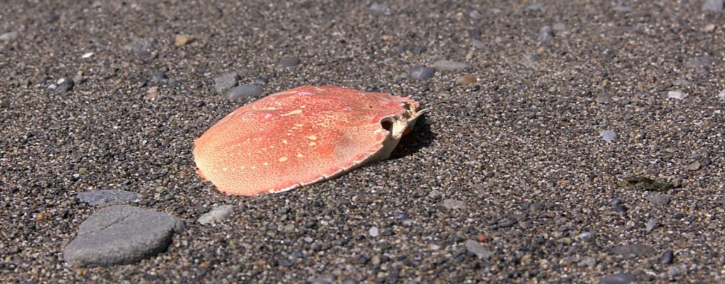 Day 9: May 29th – Windy &&nbsp;Windy