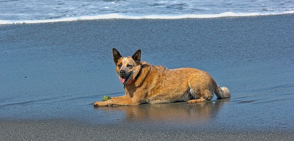 Day 10: May 30th – Beach&nbsp;Day!