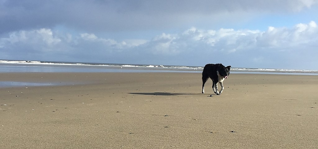 Day 20: June 10th. Big&nbsp;Wussie