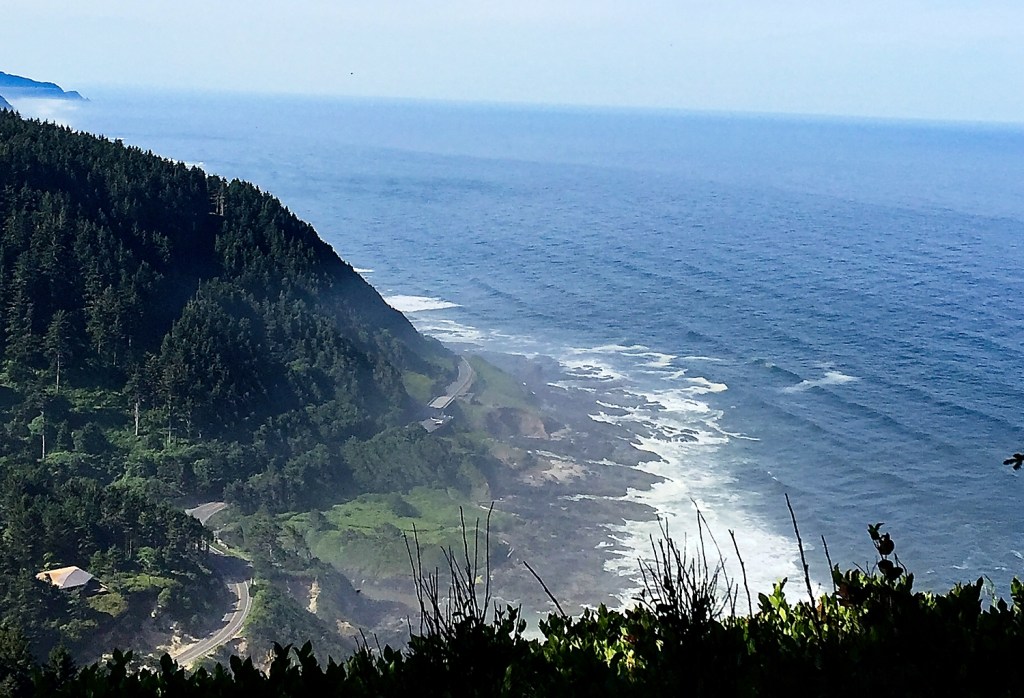 Day 13: June 2nd. Virgin&nbsp;Forest.