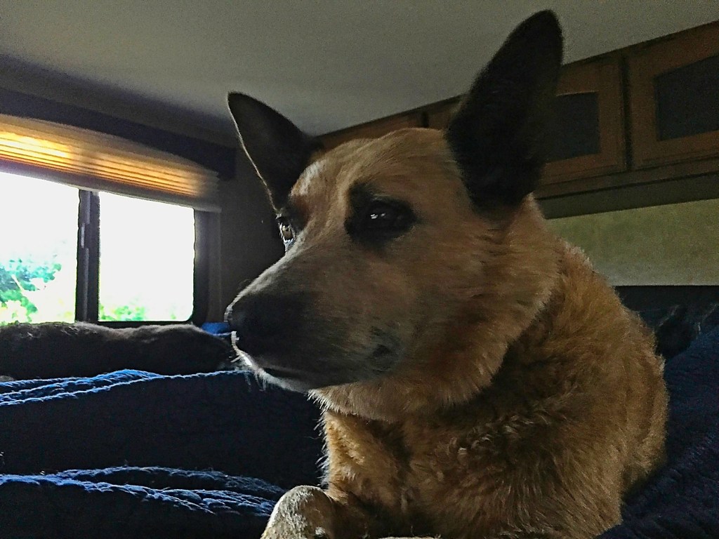 Day 16: June 6th, Mr. Pokey&nbsp;Pants