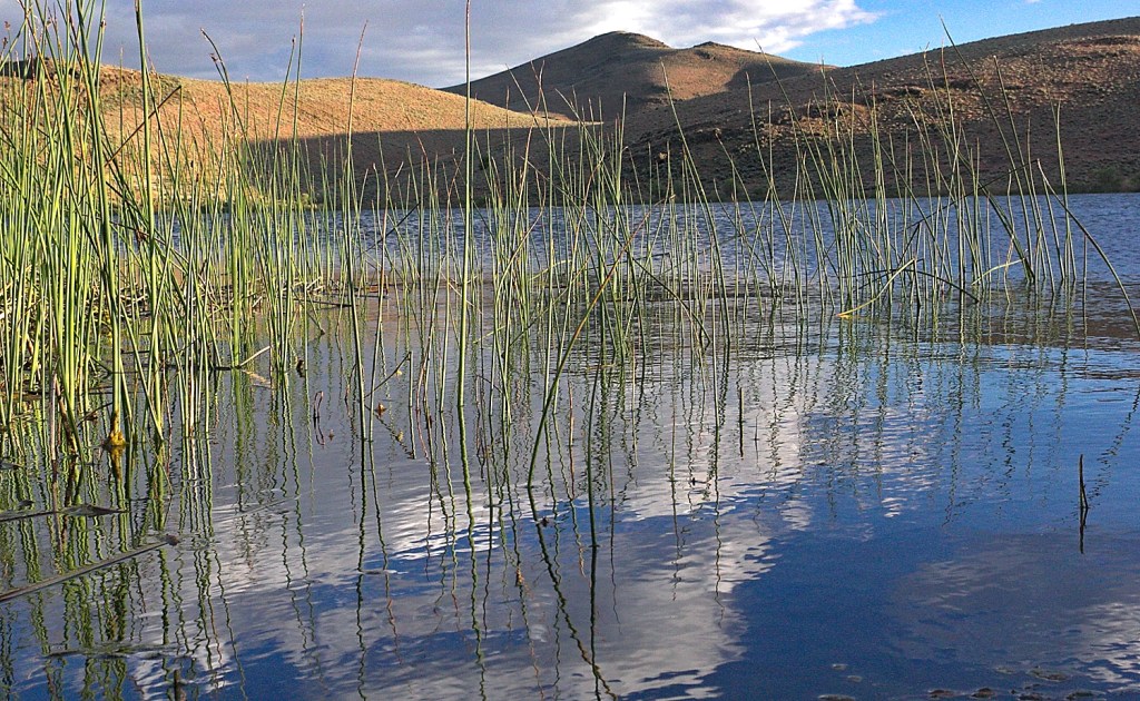 May 26: Wud SUP,&nbsp;Homey.