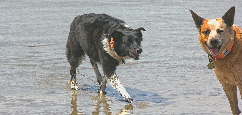 Day 14: June 3rd,&nbsp;Couchmageddon!