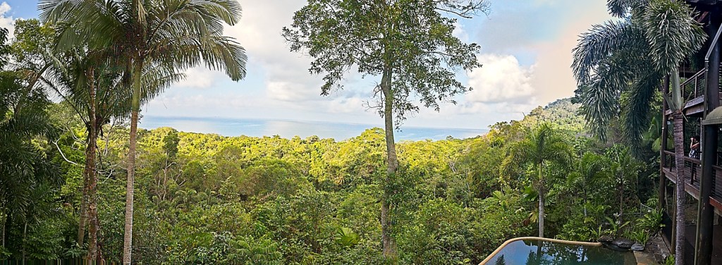 Oct 17th: Final&nbsp;Swim