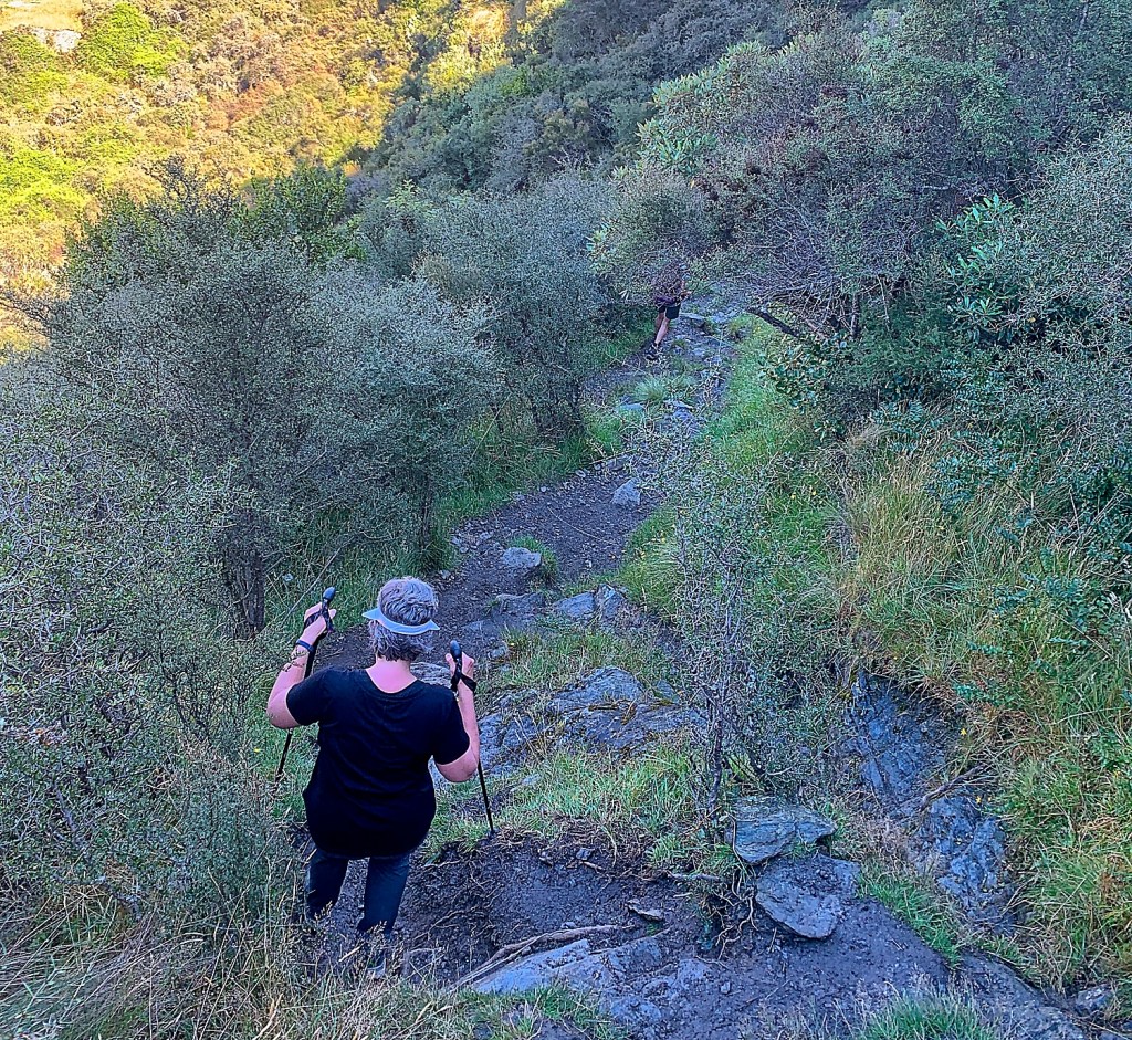 Two types of&nbsp;trails