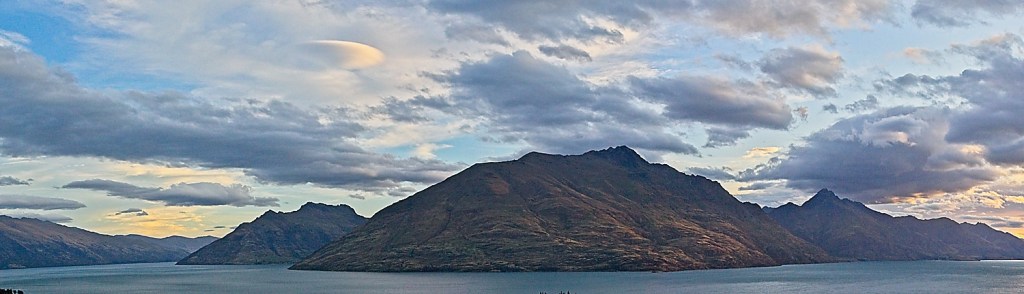 Emotional Support Humans