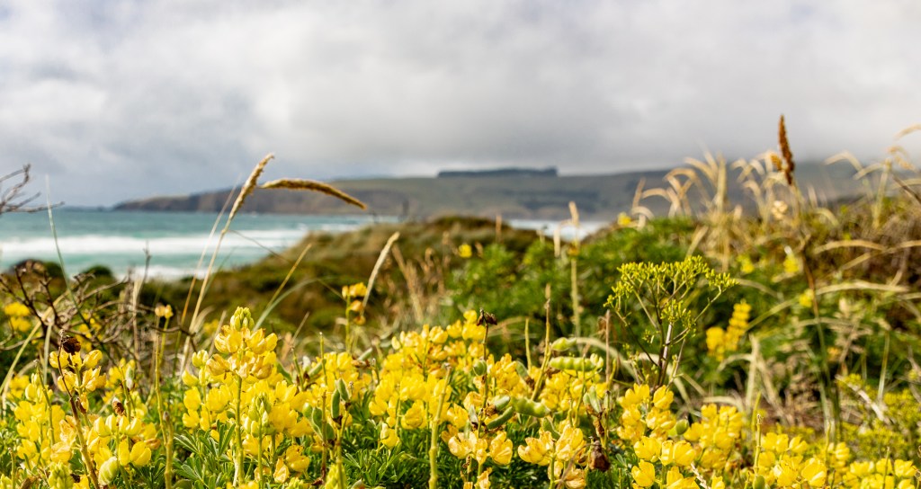 Around Dunedin (part&nbsp;1)