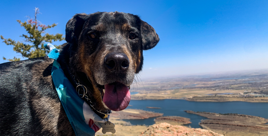 Mr. Smoosh and&nbsp;Friends