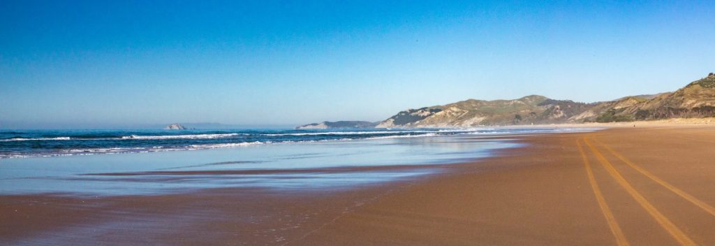 Stay Alive on&nbsp;Five