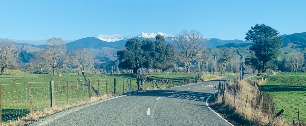 Great Taste and Less&nbsp;Filling