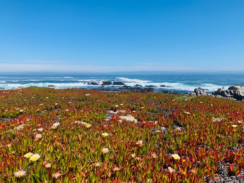 “You’re not a mini-van kinda&nbsp;guy”