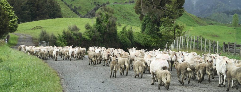 On the Road&nbsp;Again